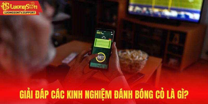 Bật mí các kinh nghiệm đánh bóng cỏ là gì?