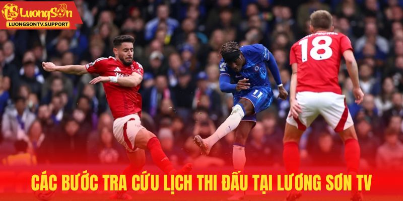 Các bước tra cứu lịch thi đấu tại Lương Sơn TV