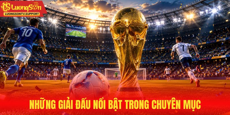 Những giải đấu nổi bật trong chuyên mục